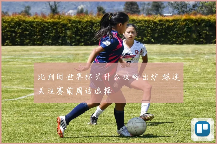 比利时世界杯买什么攻略出炉 球迷关注赛前周边选择