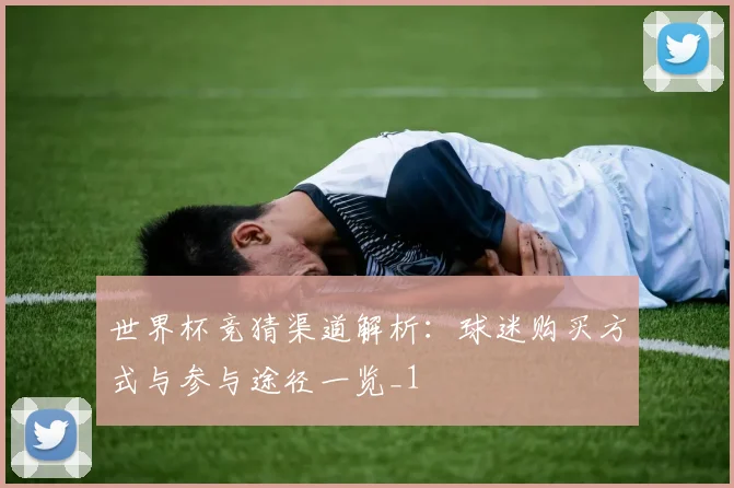 世界杯竞猜渠道解析：球迷购买方式与参与途径一览_1