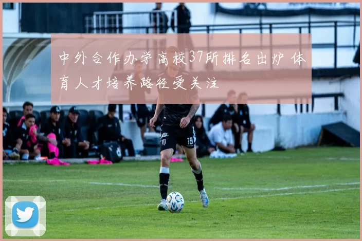 中外合作办学高校37所排名出炉 体育人才培养路径受关注