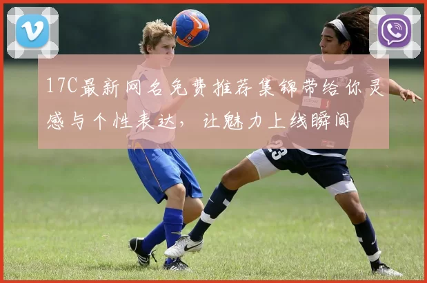 17C最新网名免费推荐集锦带给你灵感与个性表达,让魅力上线瞬间