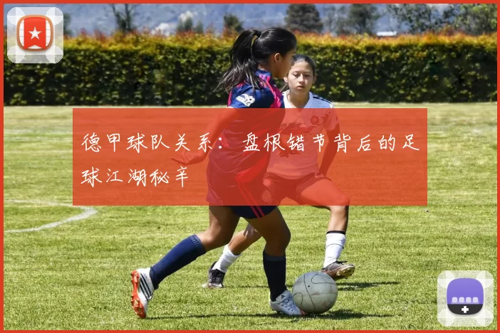 德甲球队关系:盘根错节背后的足球江湖秘辛