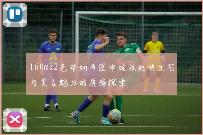 160mk2色带细节图中绽放经典工艺与复古魅力的质感探索